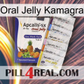 Oral Jelly Kamagra 11